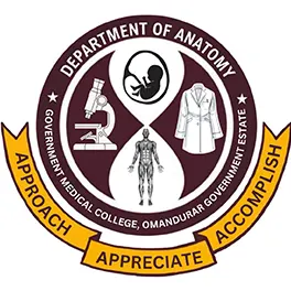 Omandurar Anatomy